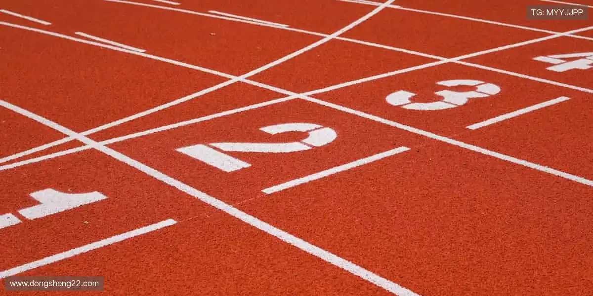 🏀 每一场对决，都是心跳的证明！