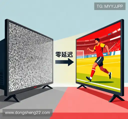 我们高效解决方案